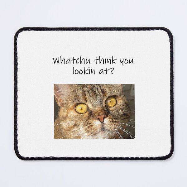 Item preview, cat looking at you designed and sold by Maddyprints.