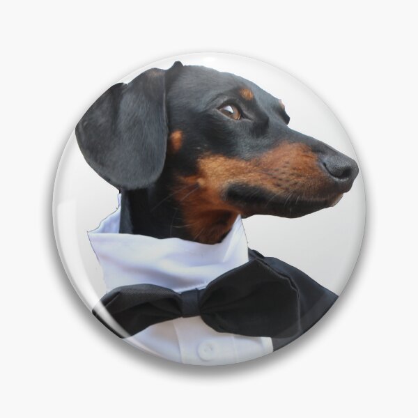 Item preview, Dachshund Dog in Costume, a little gentleman designed and sold by Jessica Weiss.