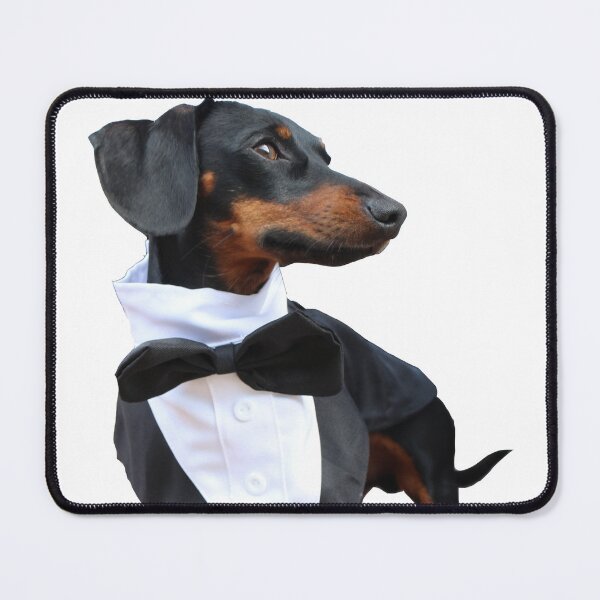 Item preview, Dachshund Dog in Costume, a little gentleman designed and sold by Jessica Weiss.
