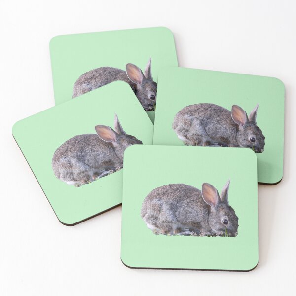 Item preview, Cute bunny animal designed and sold by Jessica Weiss.