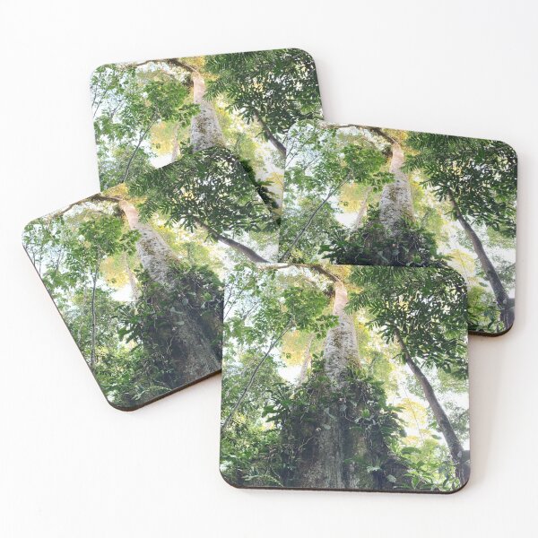 Item preview, Amazon Rainforest Photograph designed and sold by Melissa O'Connell.