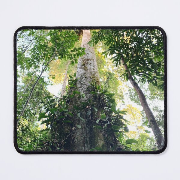 Item preview, Amazon Rainforest Photograph designed and sold by Melissa O'Connell.