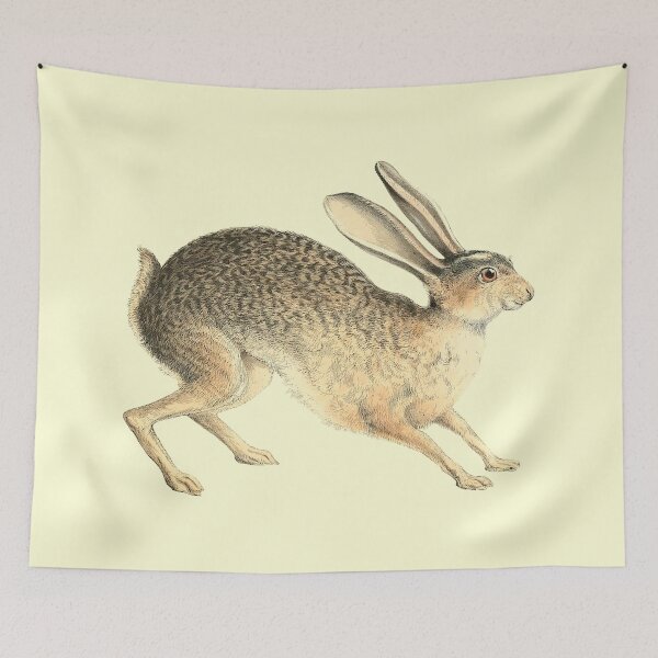 Item preview, Jackrabbit Portrait designed and sold by Futurebeachbum.