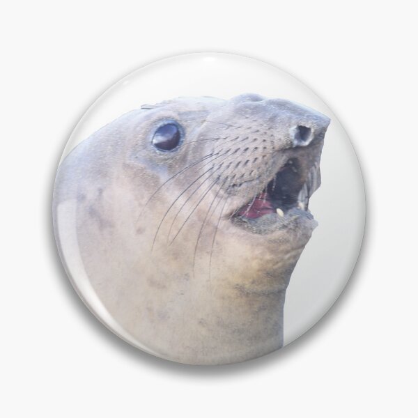 Item preview, Funny elephant seal animal designed and sold by Jessica Weiss.