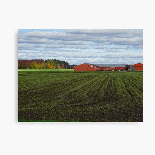 The Red Barn Canvas Print