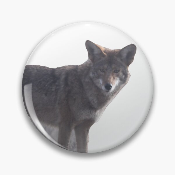 Item preview, Coyote Animal Wildlife designed and sold by Jessica Weiss.