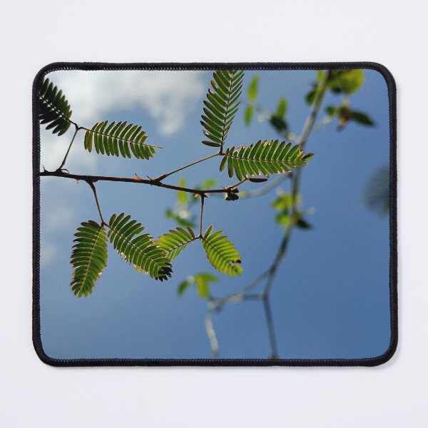 Item preview, Natural green leaves and sky designed and sold by HASIII.