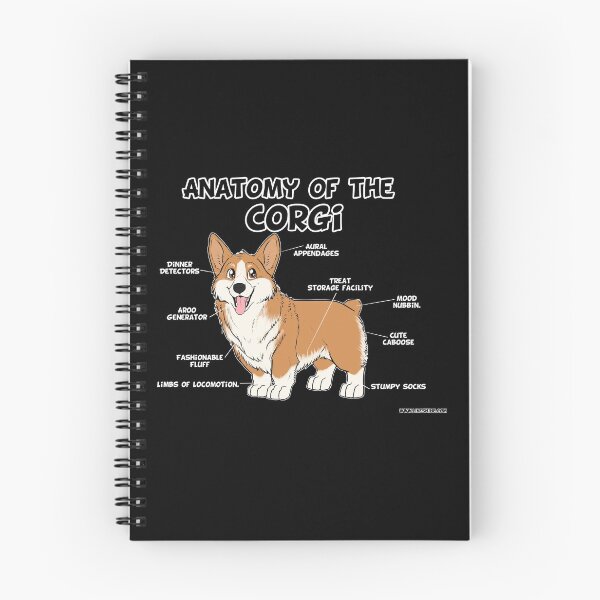 Artikelvorschau, Anatomie des Corgis - rot & weiß entworfen und verkauft von likeshine.