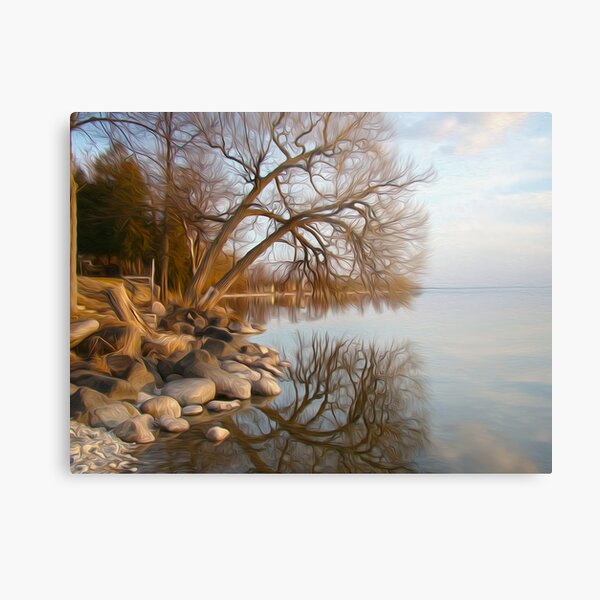 Mirror Lake Metal Print