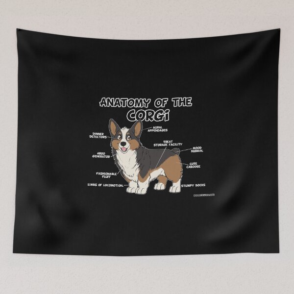 Artikelvorschau, Anatomie des Corgi - Tricolor entworfen und verkauft von likeshine.