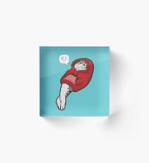 Hooded Seal Acrylic Block