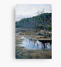 Polution Canvas Print