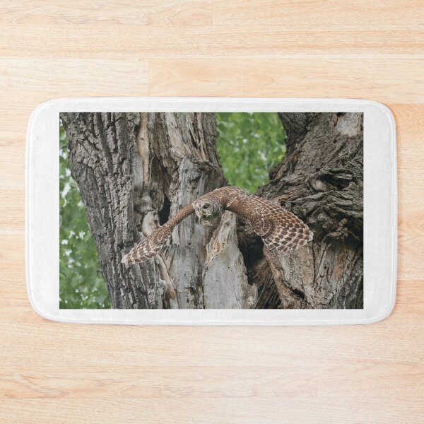 Item preview, Elegant Flying Wonder designed and sold by Puttaswamy Ravishankar.