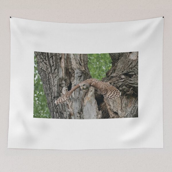 Item preview, Elegant Flying Wonder designed and sold by Puttaswamy Ravishankar.