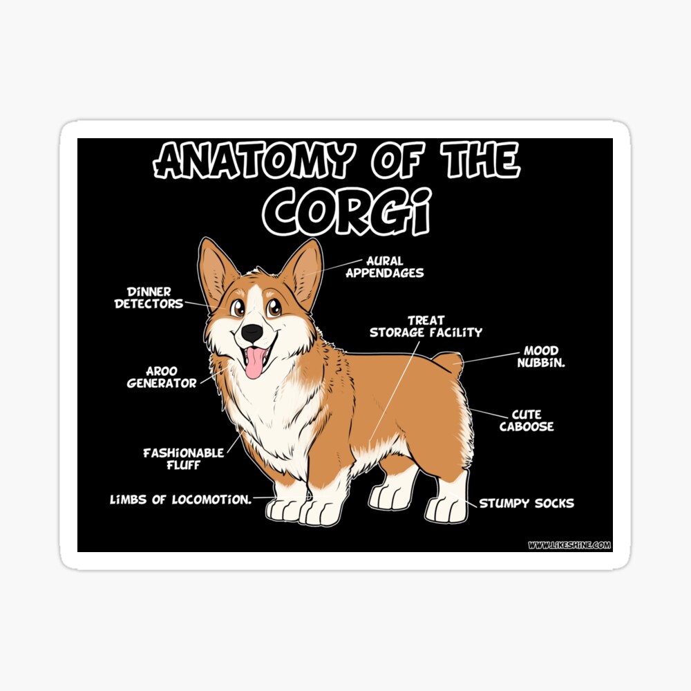 Anatomy Of The Corgi Red White Photographic Print By Likeshine Redbubble