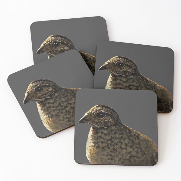 Item preview, Young Quail designed and sold by Aww_To_Z Animals.