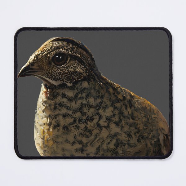 Item preview, Young Quail designed and sold by Aww_To_Z Animals.