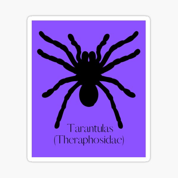 Item preview, Tarantulas (Theraphosidae) Scientific Family Black Silhouette Design designed and sold by EarthArtDesigns.