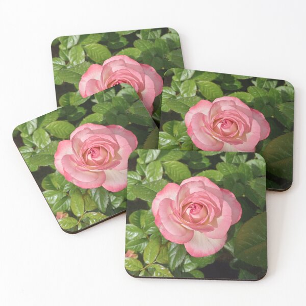 Item preview, Beautiful pink rose designed and sold by WildNature129.