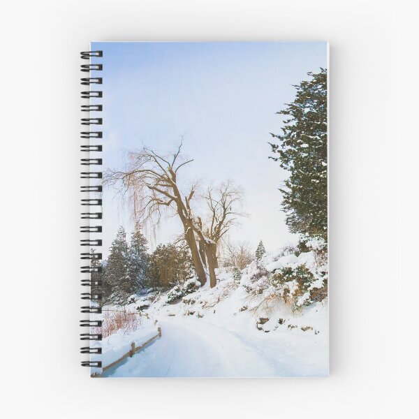 Item preview, Winter at Edwards Gardens designed and sold by John Velocci.