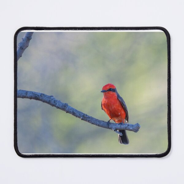 Item preview, Prime Spot designed and sold by Puttaswamy Ravishankar.