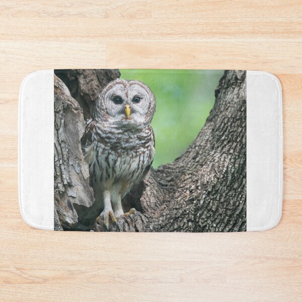 Item preview, Mama Barred Owl designed and sold by Puttaswamy Ravishankar.