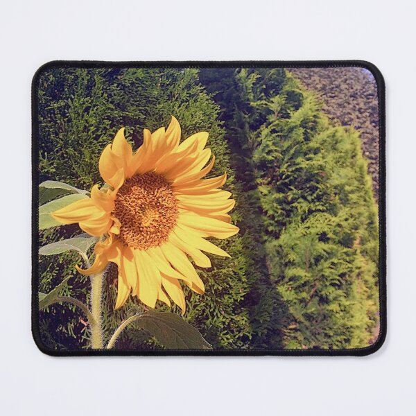 Item preview, Wolverhampton  designed and sold by SnappedbyRivka.
