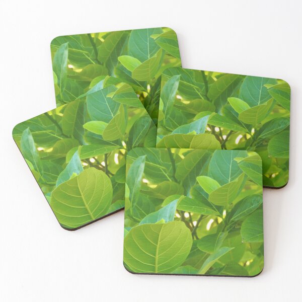 Item preview, Jackfruit Jungle designed and sold by snwball.
