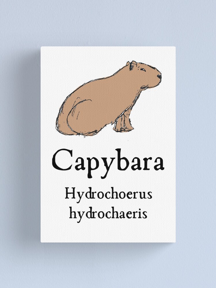 Prints of Digital illustration of Capybara (Hydrochoerus