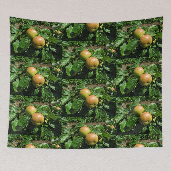 Item preview, Apples Ripening In The Sunshine - Heligan designed and sold by BlueMoonRose.
