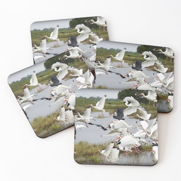Item preview, Bird friends in flight, Merritt Island Wildlife Refuge, 11-22-2022 designed and sold by Kimberly Guevarra.