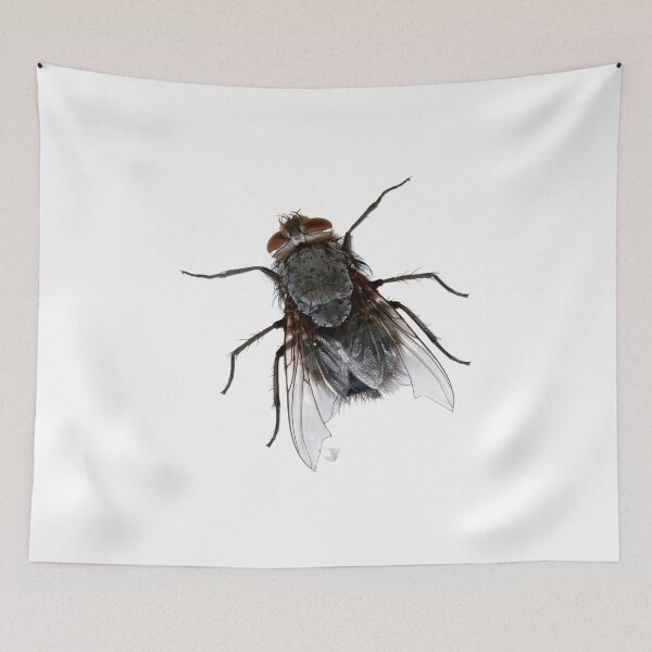 Item preview, Fly mosca designed and sold by pardock.
