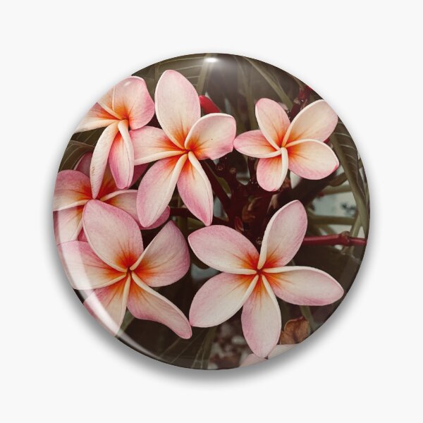 Item preview, Plumeria Love ?  designed and sold by MelodiRose.