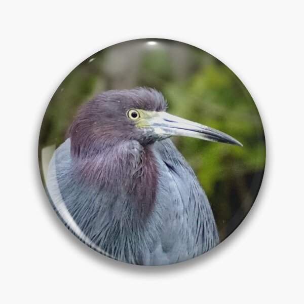 Item preview, Reddish Egret, Merritt Island Wildlife Refuge, 11-22-2022 designed and sold by Kimberly Guevarra.