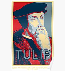 Calvin TULIP Poster