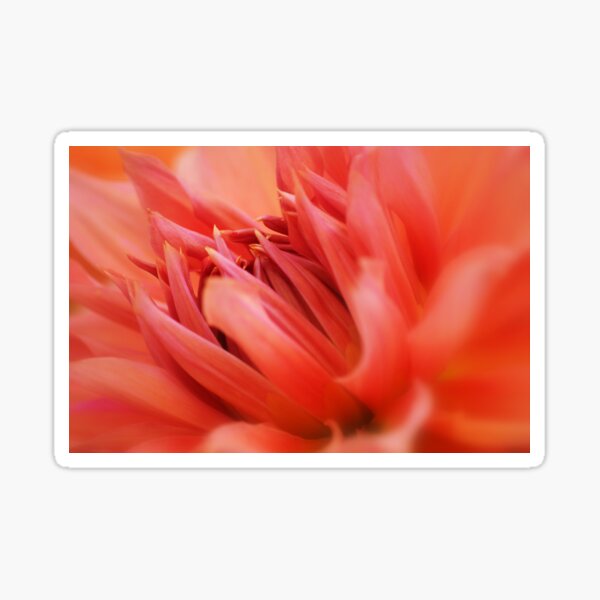 Item preview, Vibrant  designed and sold by Laurie Minor.