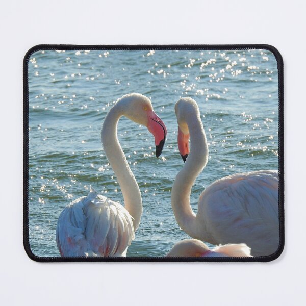 Item preview, Flamingos in Love designed and sold by AussieAl.