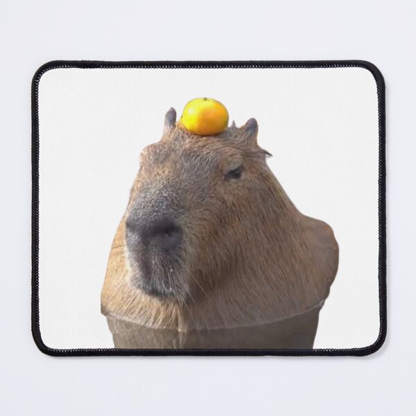 Item preview, Capybara with orange designed and sold by FunkisDesignes.