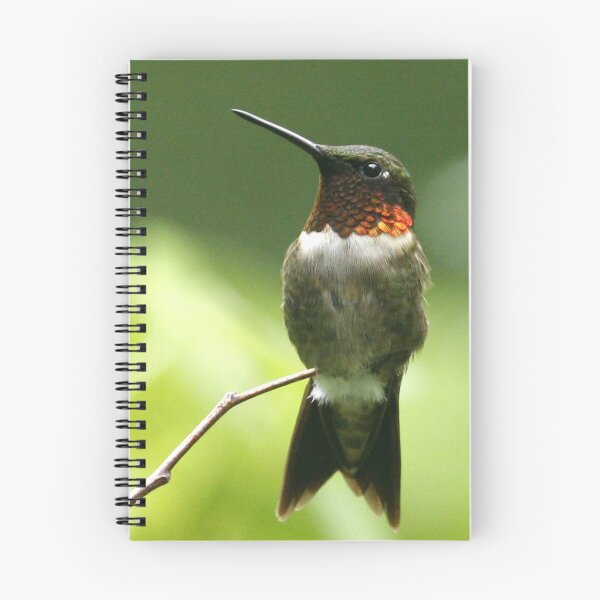 Item preview, ruby throated hummingbird designed and sold by Enola Gay Wagner.