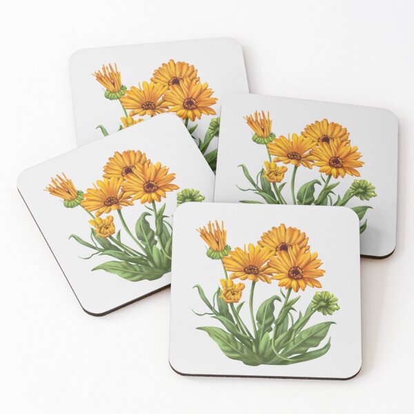 Item preview, Calendula designed and sold by Keepsie Archives by SMA.