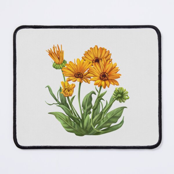 Item preview, Calendula designed and sold by Keepsie Archives by SMA.