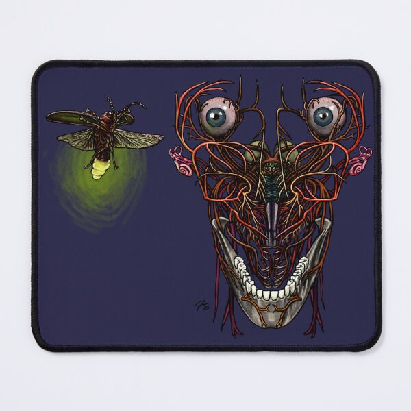 Item preview, Cranial Nerves & Truncus Cerebri designed and sold by FreyStrandDraws.