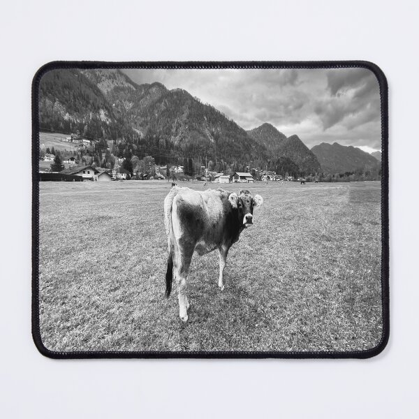Item preview, Tyrolean Grey Cow Salzburg  designed and sold by Londonimages.