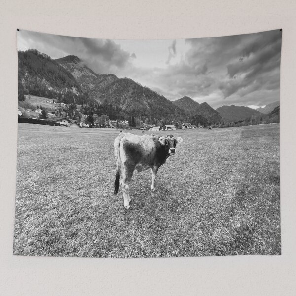 Item preview, Tyrolean Grey Cow Salzburg  designed and sold by Londonimages.