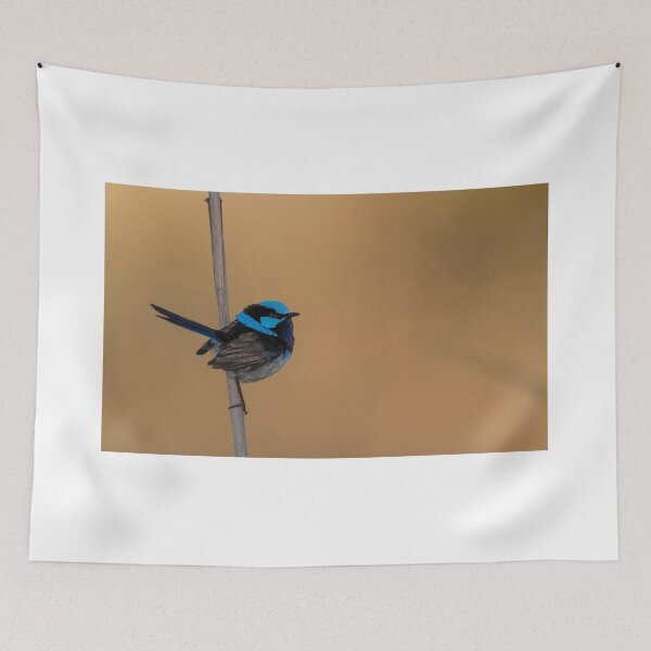 Item preview, Male Superb fairywren designed and sold by Puttaswamy Ravishankar.