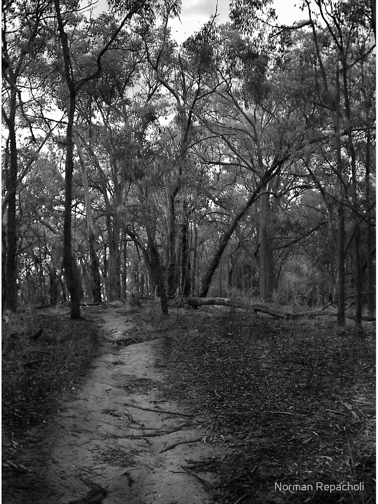 The Path by keystone