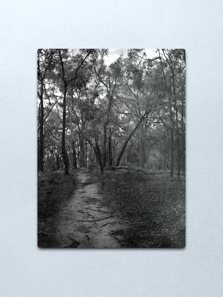 Alternate view of The Path Metal Print