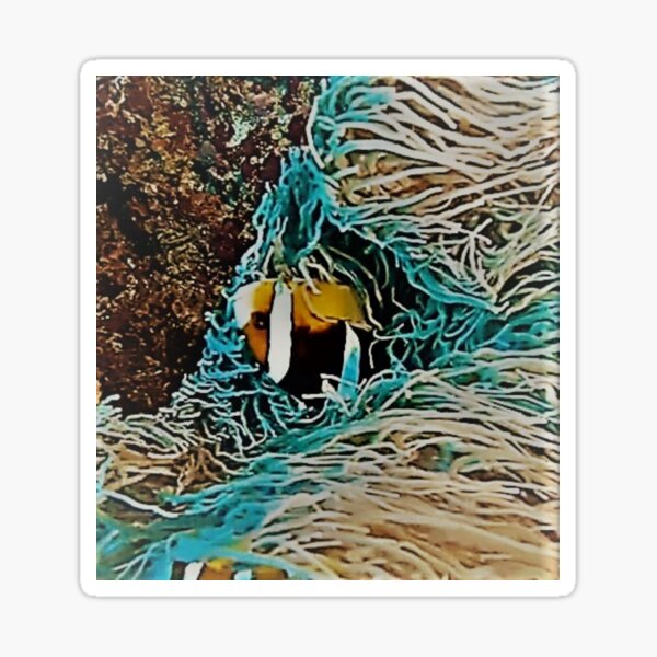 under seaview Sticker