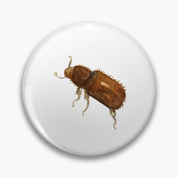 Item preview, bark beetle designed and sold by vmillustration.