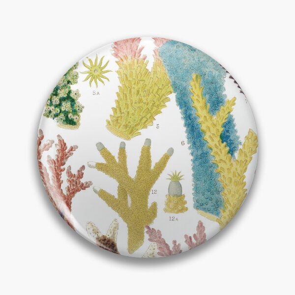 Item preview, Great Barrier Reef Corals from The Great Barrier Reef of Australia  by William Saville Kent ,the great barrier reef of australia, coral reef plant life, designed and sold by Tamas Das.